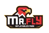 Mr Fly